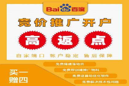 百度竞价托管外包案例：打造行业领军品牌